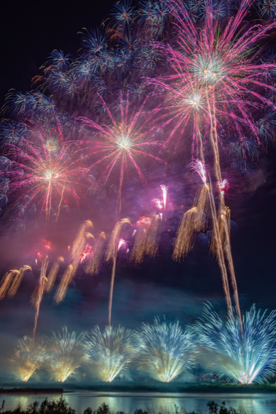 学生の作品